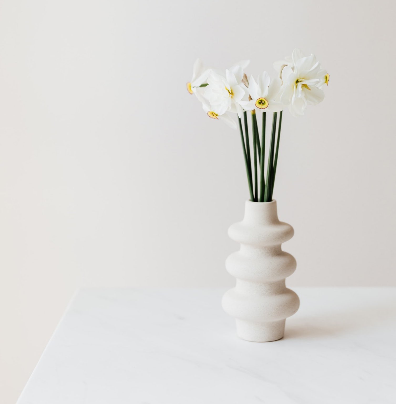 گل نرگس سفید در گلدان مدرن